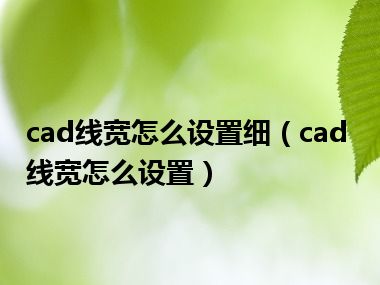 cad线宽怎么设置细（cad线宽怎么设置）