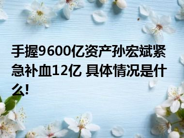 手握9600亿资产孙宏斌紧急补血12亿 具体情况是什么!