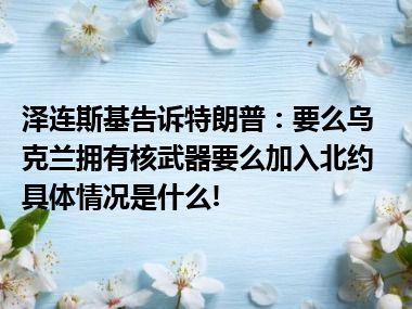 泽连斯基告诉特朗普：要么乌克兰拥有核武器要么加入北约 具体情况是什么!