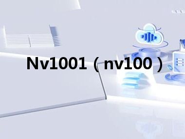 Nv1001（nv100）