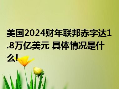 美国2024财年联邦赤字达1.8万亿美元 具体情况是什么!