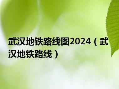 武汉地铁路线图2024（武汉地铁路线）