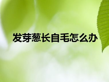 发芽葱长自毛怎么办