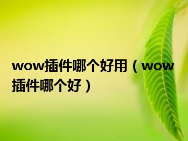 wow插件哪个好用（wow插件哪个好）