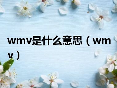 wmv是什么意思（wmv）