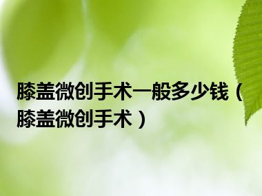 膝盖微创手术一般多少钱（膝盖微创手术）