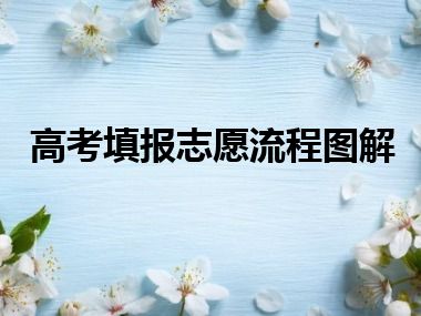 高考填报志愿流程图解