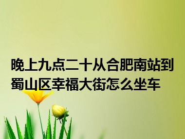 晚上九点二十从合肥南站到蜀山区幸福大街怎么坐车