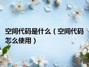 空间代码是什么（空间代码怎么使用）