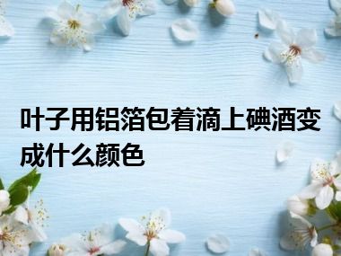 叶子用铝箔包着滴上碘酒变成什么颜色