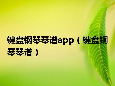 键盘钢琴琴谱app（键盘钢琴琴谱）