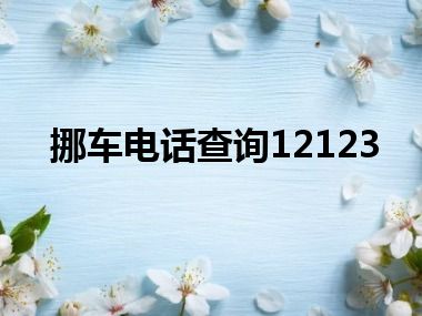 挪车电话查询12123