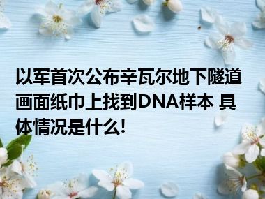 以军首次公布辛瓦尔地下隧道画面纸巾上找到DNA样本 具体情况是什么!