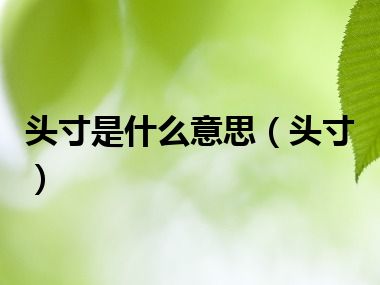 头寸是什么意思（头寸）