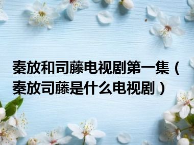 秦放和司藤电视剧第一集（秦放司藤是什么电视剧）