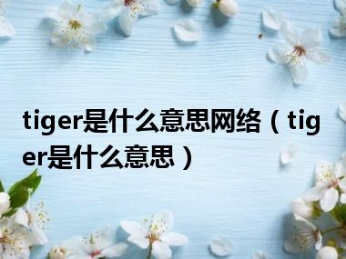 tiger是什么意思网络（tiger是什么意思）