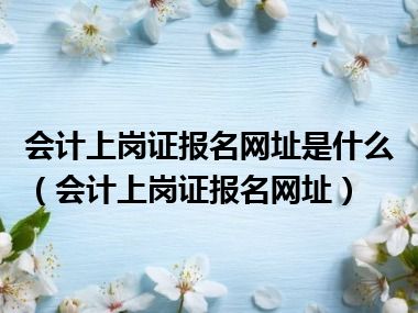 会计上岗证报名网址是什么（会计上岗证报名网址）