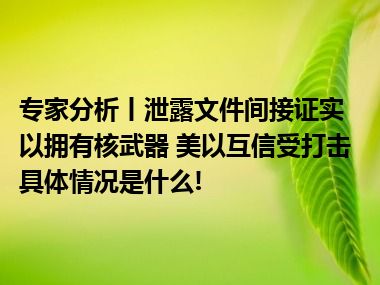 专家分析丨泄露文件间接证实以拥有核武器 美以互信受打击 具体情况是什么!