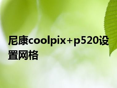 尼康coolpix+p520设置网格