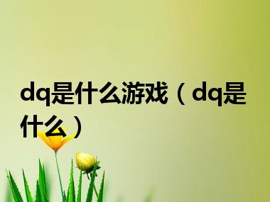 dq是什么游戏（dq是什么）