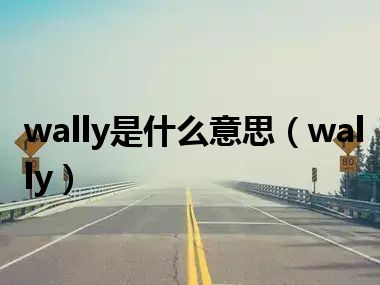 wally是什么意思（wally）