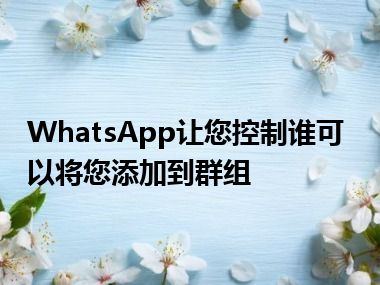 WhatsApp让您控制谁可以将您添加到群组