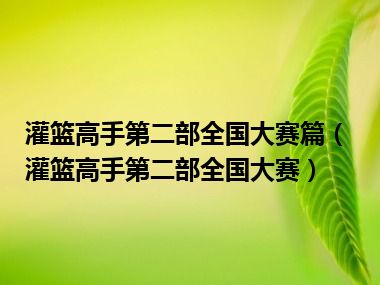 灌篮高手第二部全国大赛篇（灌篮高手第二部全国大赛）