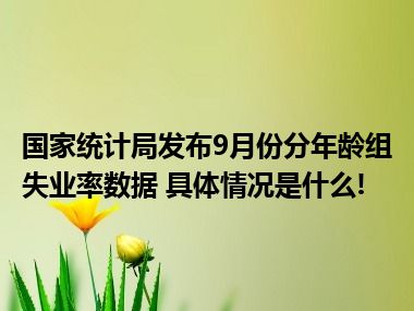 国家统计局发布9月份分年龄组失业率数据 具体情况是什么!