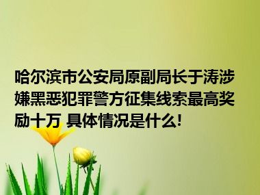 哈尔滨市公安局原副局长于涛涉嫌黑恶犯罪警方征集线索最高奖励十万 具体情况是什么!