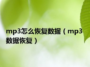 mp3怎么恢复数据（mp3数据恢复）