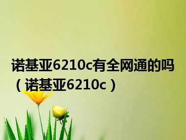 诺基亚6210c有全网通的吗（诺基亚6210c）