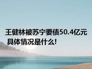 王健林被苏宁要债50.4亿元 具体情况是什么!