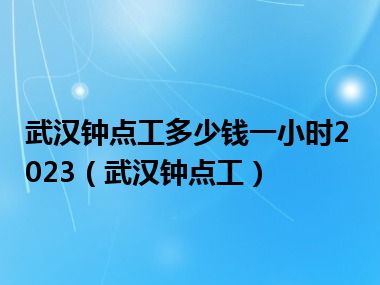 武汉钟点工多少钱一小时2023（武汉钟点工）