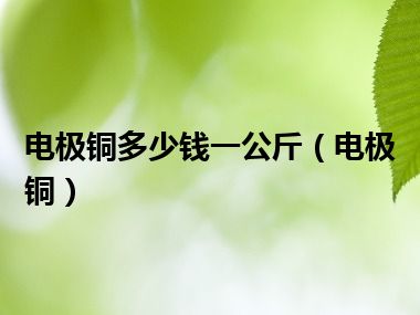 电极铜多少钱一公斤（电极铜）