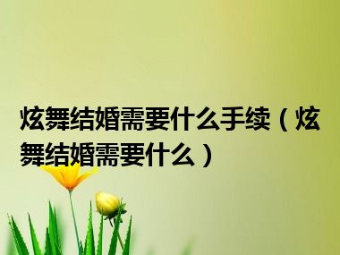 炫舞结婚需要什么手续（炫舞结婚需要什么）