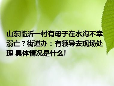 山东临沂一村有母子在水沟不幸溺亡？街道办：有领导去现场处理 具体情况是什么!