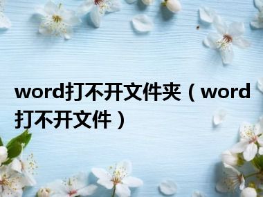 word打不开文件夹（word打不开文件）