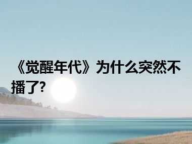 《觉醒年代》为什么突然不播了?