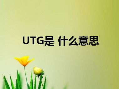 UTG是 什么意思