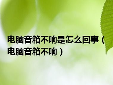 电脑音箱不响是怎么回事（电脑音箱不响）