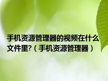 手机资源管理器的视频在什么文件里?（手机资源管理器）