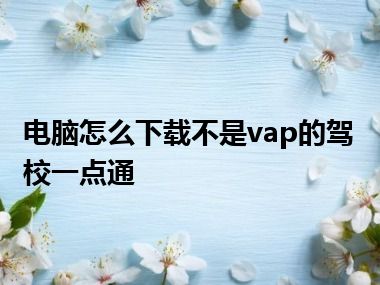 电脑怎么下载不是vap的驾校一点通