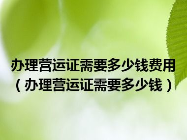 办理营运证需要多少钱费用（办理营运证需要多少钱）