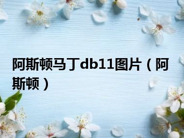 阿斯顿马丁db11图片（阿斯顿）