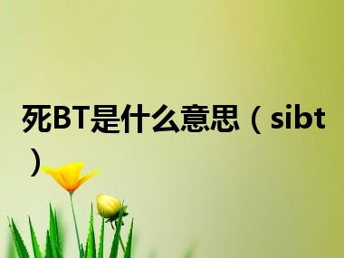 死BT是什么意思（sibt）