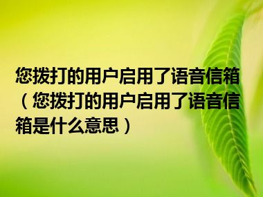 您拨打的用户启用了语音信箱（您拨打的用户启用了语音信箱是什么意思）