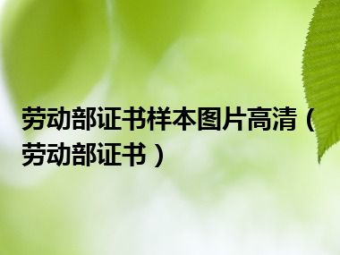 劳动部证书样本图片高清（劳动部证书）