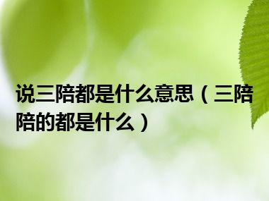 说三陪都是什么意思（三陪陪的都是什么）