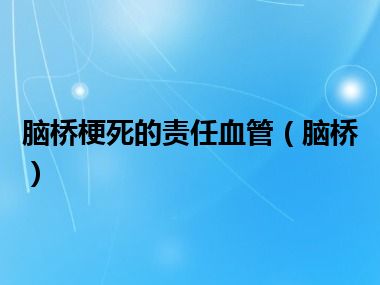 脑桥梗死的责任血管（脑桥）