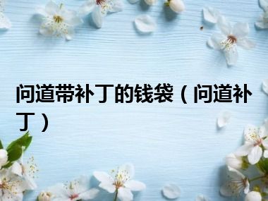 问道带补丁的钱袋（问道补丁）